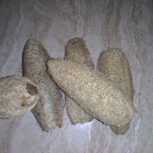 Best Natural Loofah Sponge