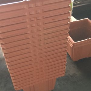 Flower Pot