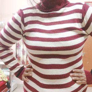 Turtle High neck Striped Sweater