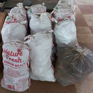 Dry Coconut (5kg+ Available)