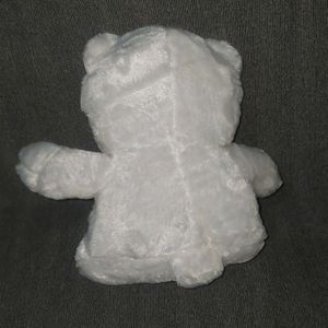 White Teddy Bear