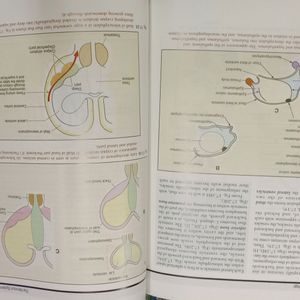 G P. Pal Book Of Human Embryology
