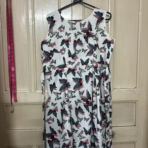 Butterfly Frock For Women