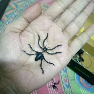 Spider earring