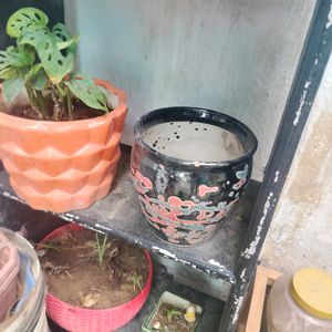 Ceramics And Plastic Pots