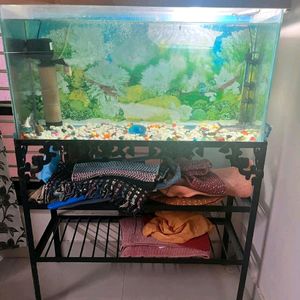 Fish Tank