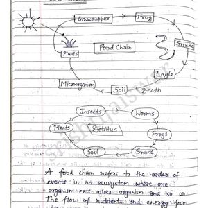 B.Tech AKTU Environment & Ecology EVS Notes