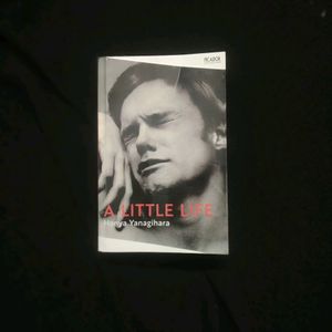 A Little Life