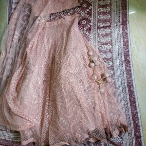 Pink Wastern Lehenga