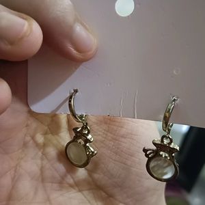 A Dollar Sign Earrings Pair , Very Stylish