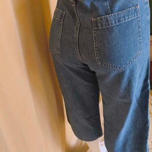 Uniqlo Jeans Pant