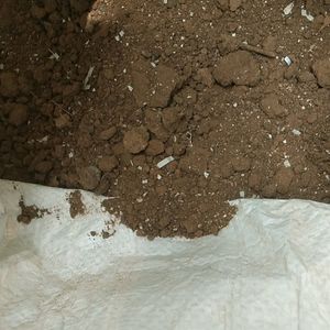 Compost Soil Good For Plants