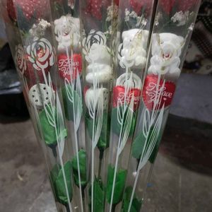 Rose Combo 🤩 Pack Of 5