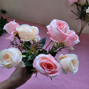 Light Pink Roses