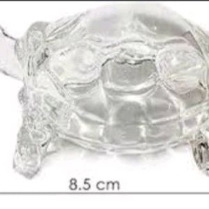 Glass Turtle