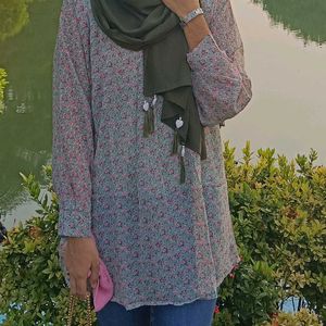 Modest Top