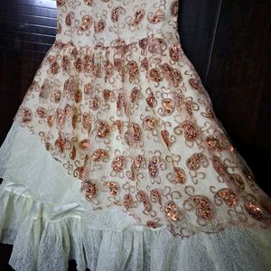 Beautiful Sequence Party Wear Dress