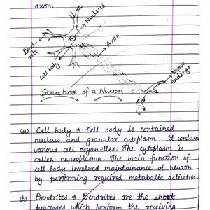 Class10 Biology Notes NCERT CBSE