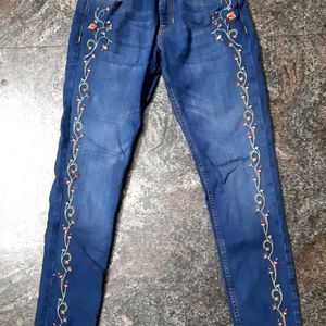 Jeans(skinny)- With Floral Embroidery