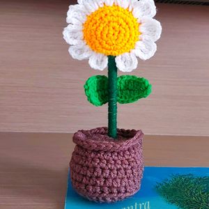 Handmade Crochet Daisy Pot