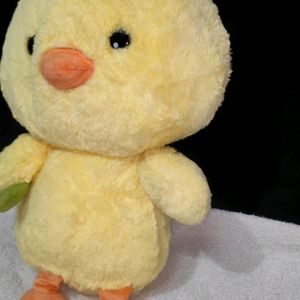 Cute Duck