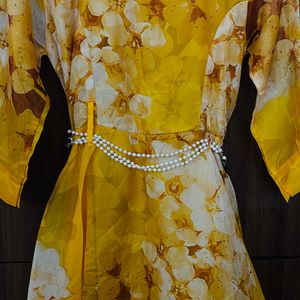 Beautiful Organza Gown
