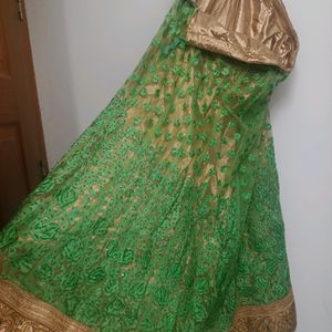 Elegant Green Net Choli Set