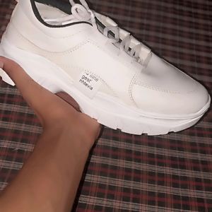 Men Sneker Size 7 Uk