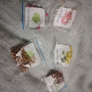 5 Vegetable Seeds,Bitter Guard,Ash Guard,Sem Fali