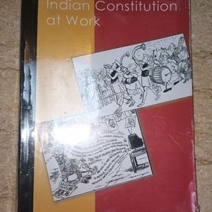 Indian Constitution At Work