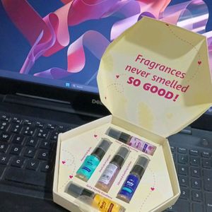 Plum Discovery Kit