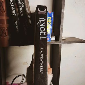 The Novel - ANGEL by L.A Weatherly