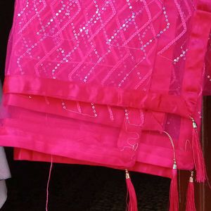 Pink Sequence Duppata