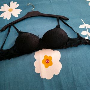 Net Padded Brnded Bra