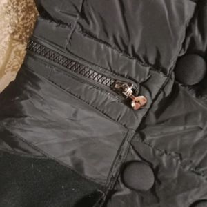 Women's Polyester Standard Jacket