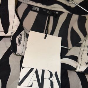 Zebra Print Short For Women