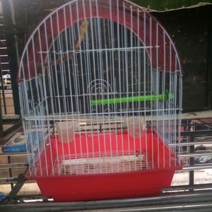 Bird Cage