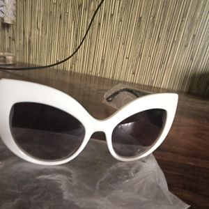 Dolce Gabbana First Copy Cat Glasses With Box 1200