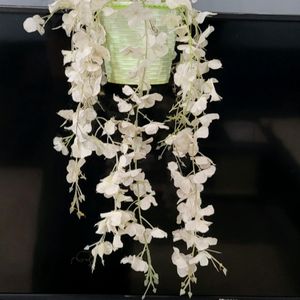 Set 2 Hanging White Flower & FlowerPot