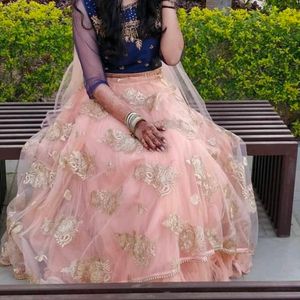 Flaired Lehenga Choli