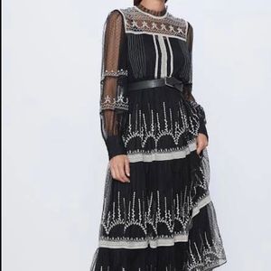 Zara Lookalike Sheer Dress