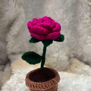 Rose Pot