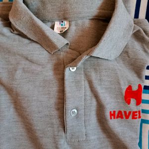 Men  Havells Polo Tshirt