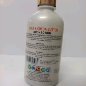 meghdoot shea & cocoa butter body lotion