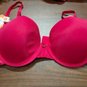 Zivame Premium Uphold: Set of 4 T-Shirt Bra