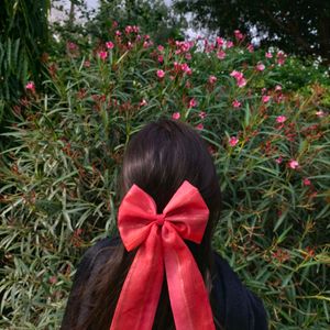 Bow Pin