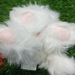 Cat Cuite Soft Toy