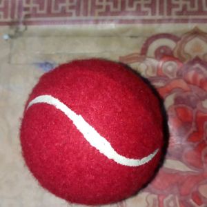 Tenis Ball Pack Of 2