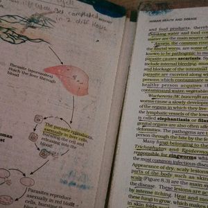 Ncert Biology Class 12 ...Used