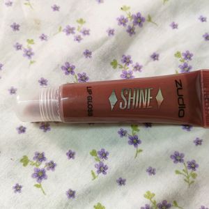 Zudio Shine Lip Gloss